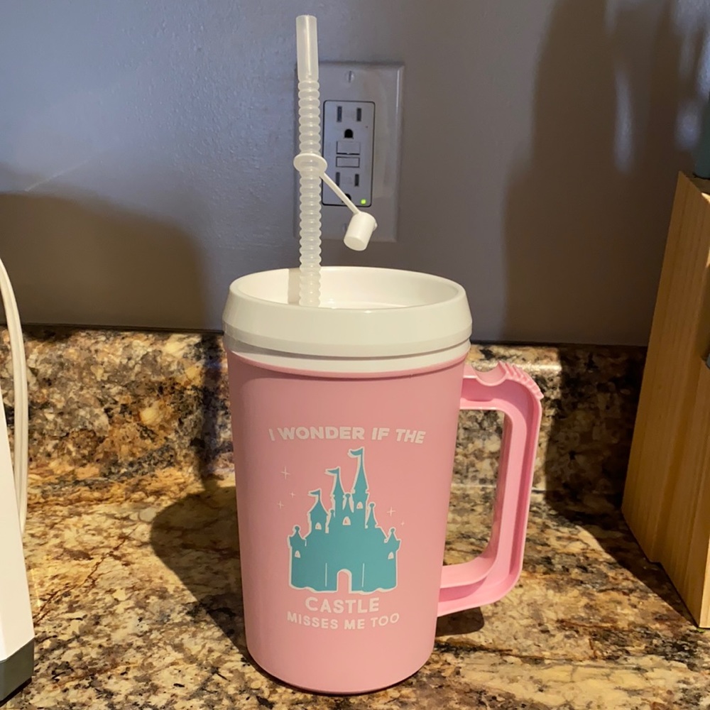 Disney Castle Water Jug